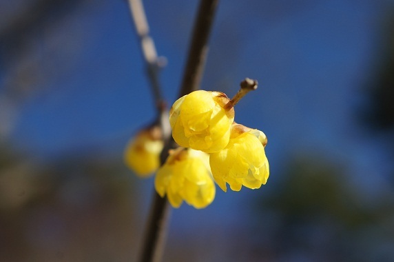 DSC02045.JPG